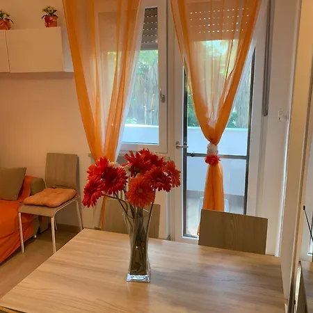 Durante * 滨海弗兰卡维拉